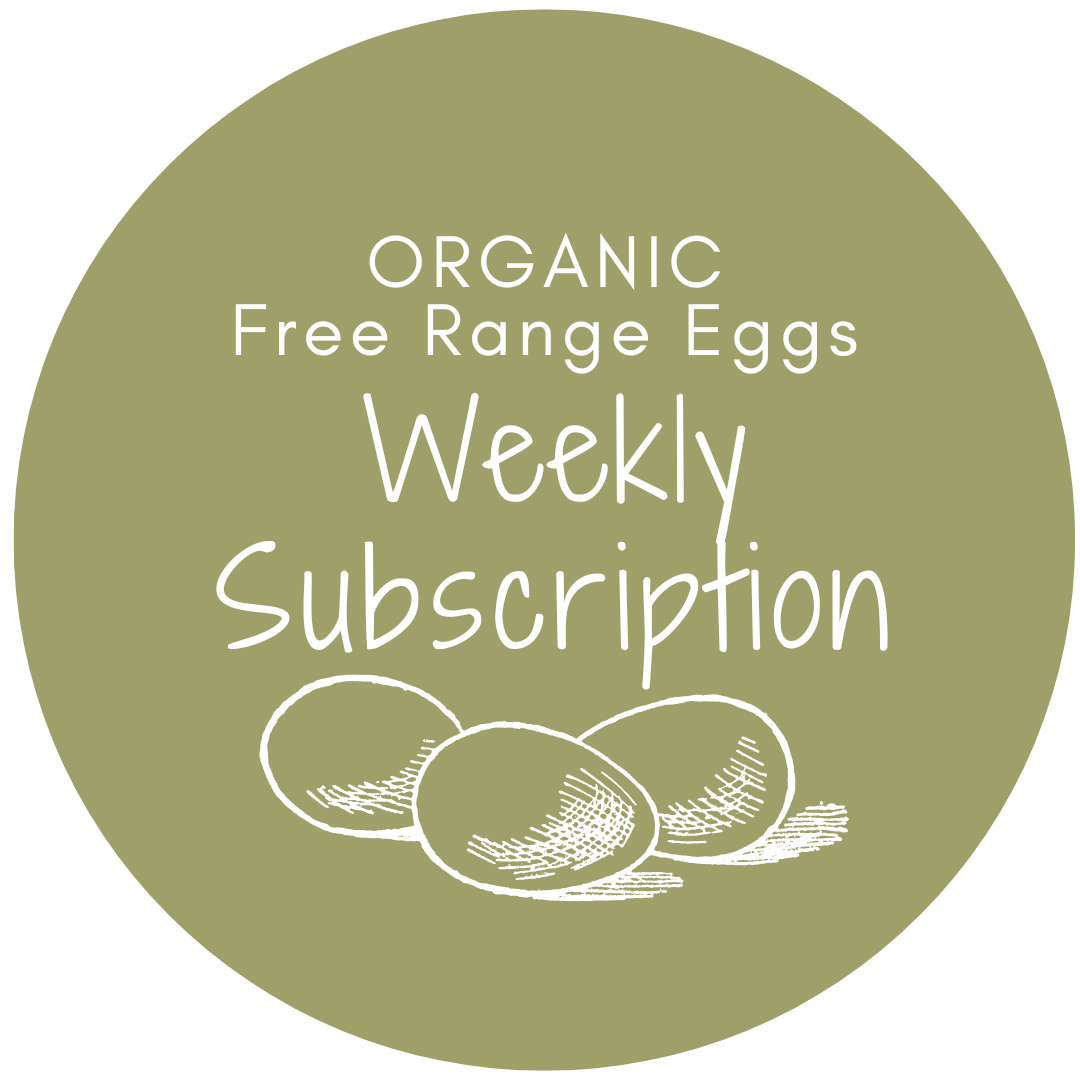 ORGANIC Weekly Subscription – 20 Pack Organic Free Range Eggs