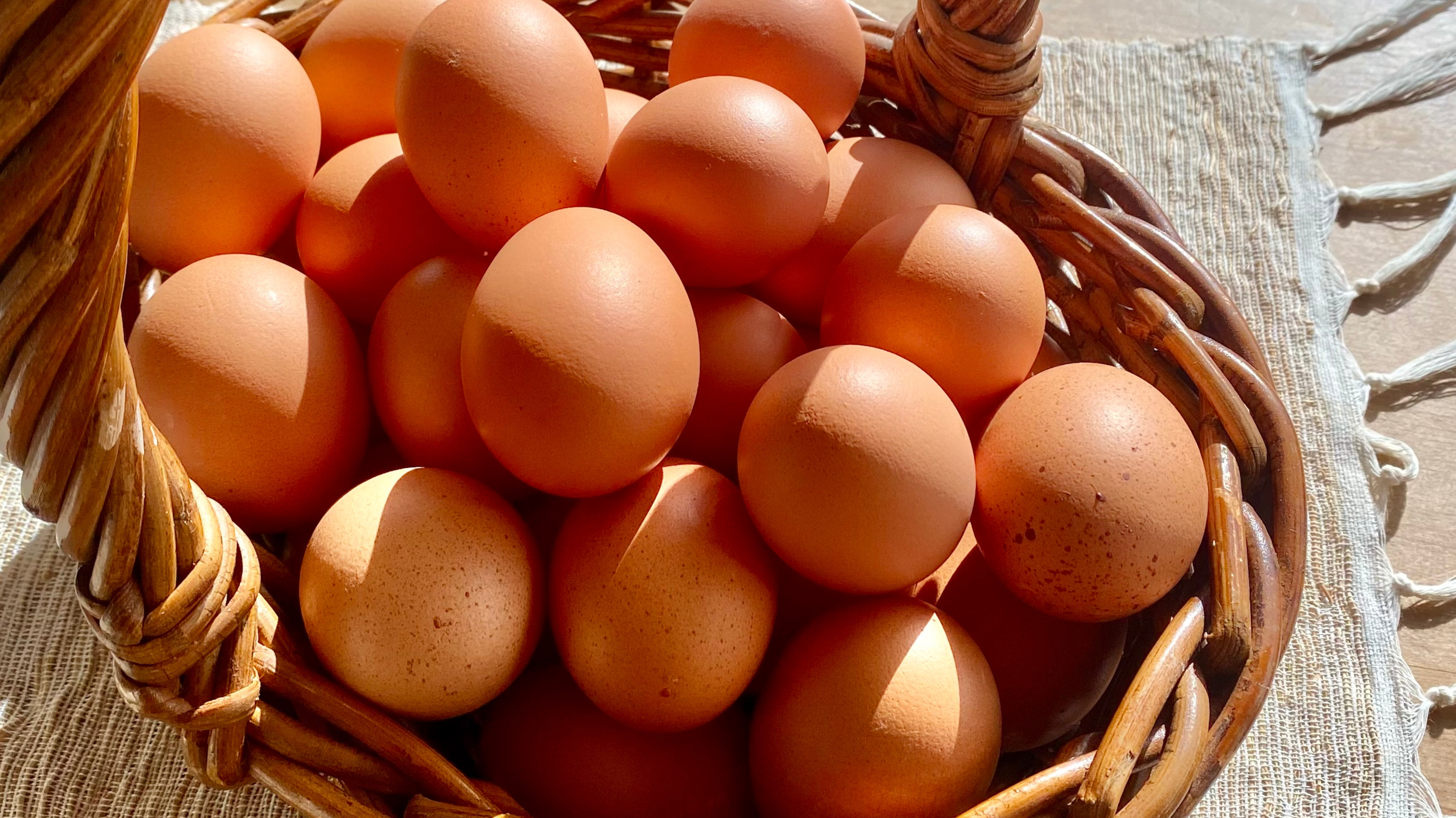 Dozen Free Range Mixed Grade Eggs – Dozen